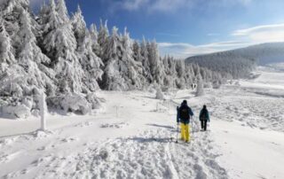 Réveillon raquettes aux pieds... du massif du Mézenc