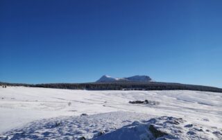 Réveillon raquettes aux pieds... du massif du Mézenc