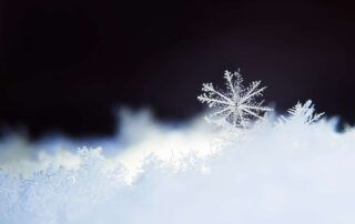 Démonstration de sculptures sur neige