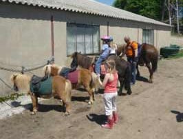 Cathy - Balade à poney ou avec un âne