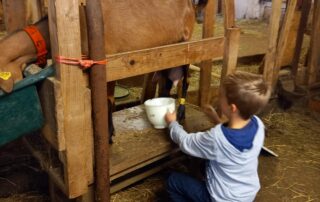 Découverte de la ferme