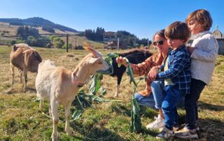 Découverte de la ferme « A la bonne fourche »