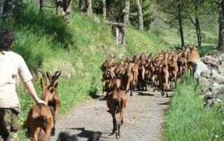 Ferme Cab’riou