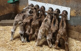 Ferme de la Louvèche