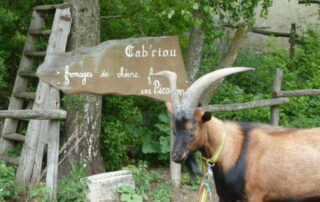 Ferme Cab'riou, nos biquettes