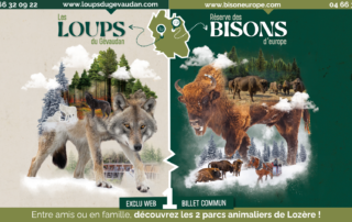 Encart pub Loups Bisons