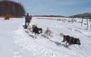 La Meute d'Angakoq_Sagnes-et-Goudoulet