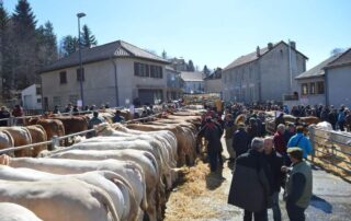 Foire grasse