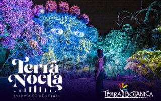 Terra Nocta_Angers