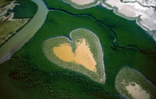 La Terre vue du ciel