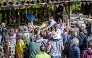 Ardelaine évènements culturels