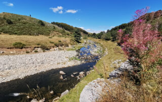 Les sources de la Loire_Sainte-Eulalie