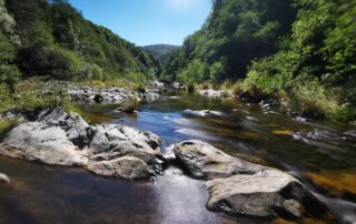 Les sources de la Loire