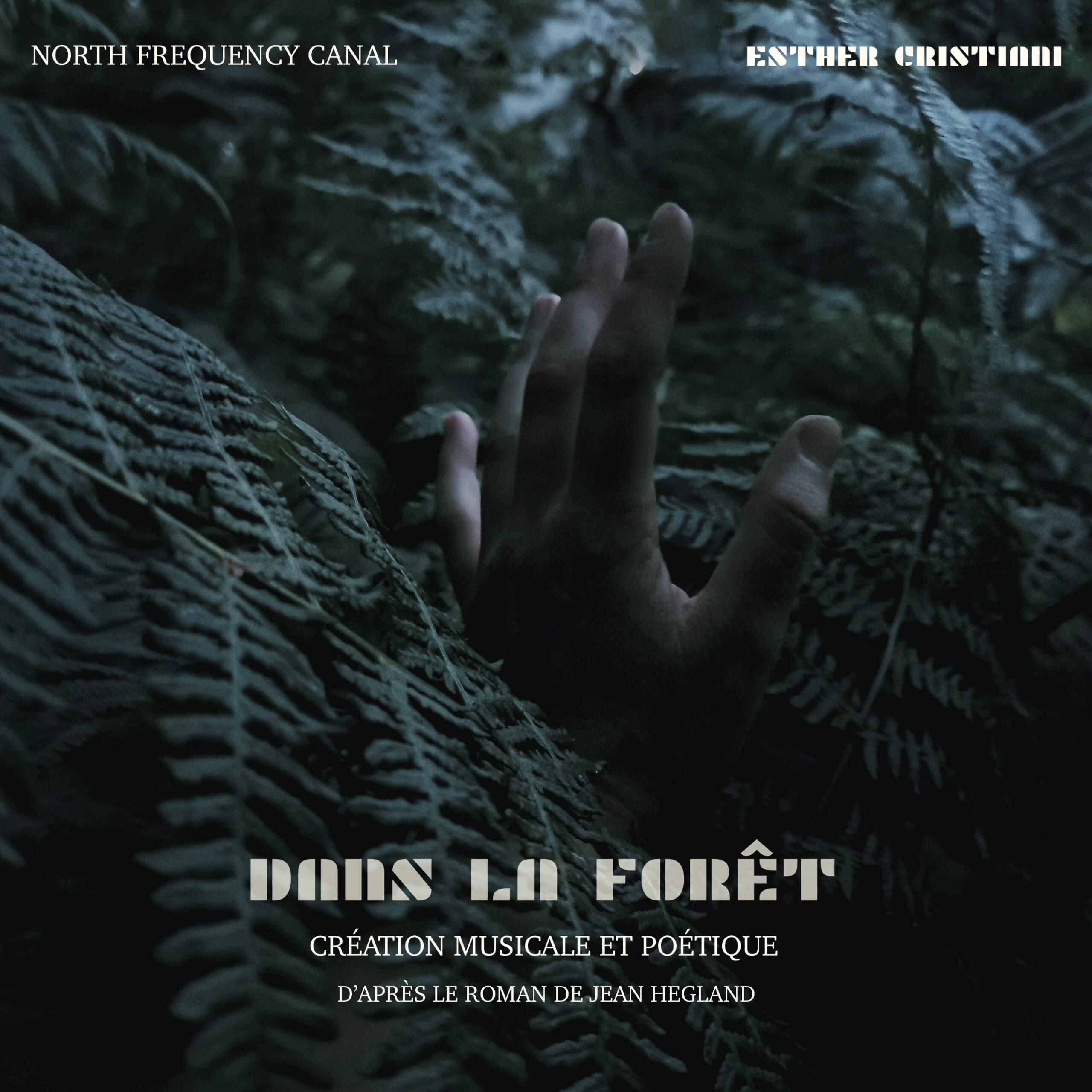 Dans la forêt - In Residenza