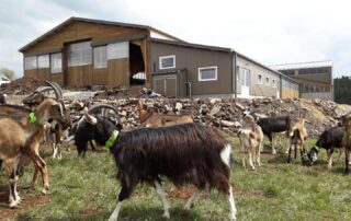 Ferme de Montmoulard - Gîte Les Tourterelles