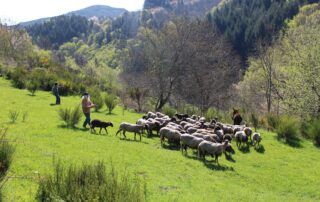 Petits gîtes La Ferme de Magnaudès