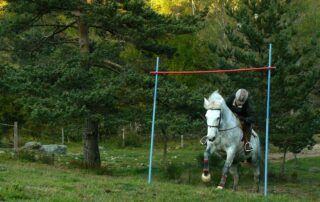 cours PTV