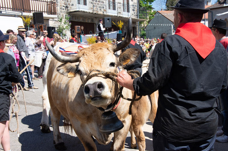 Fête-du-Fin-Gras-2019-©OTMA(FG)