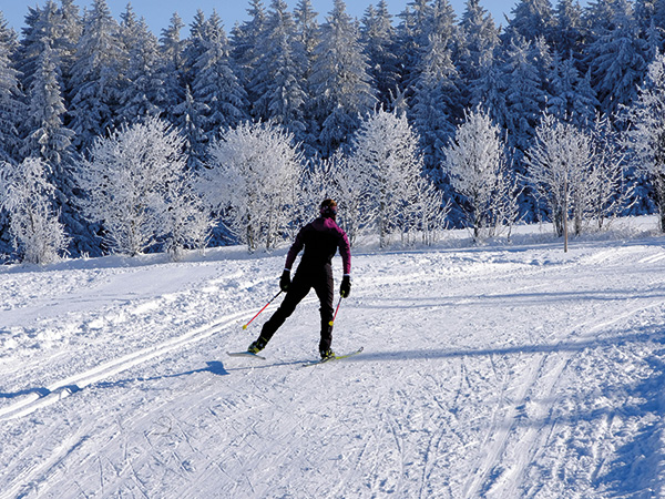 SKI DE FOND